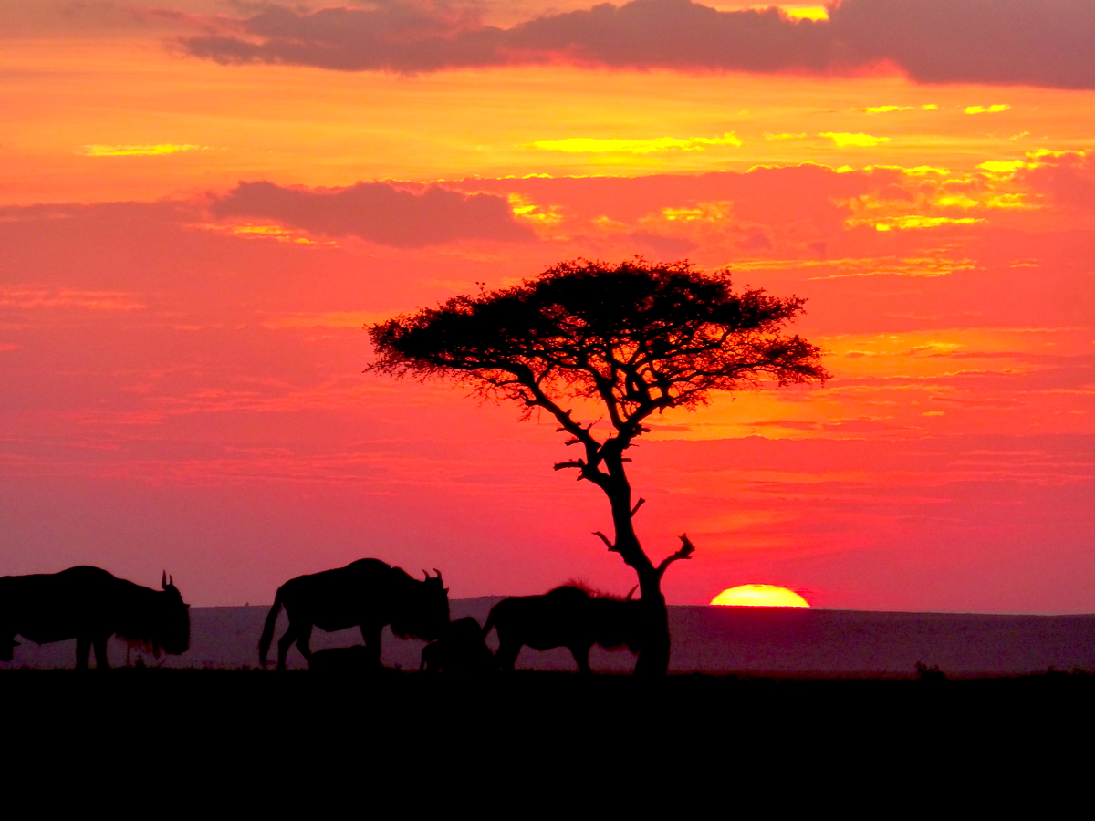 safari in kenya july