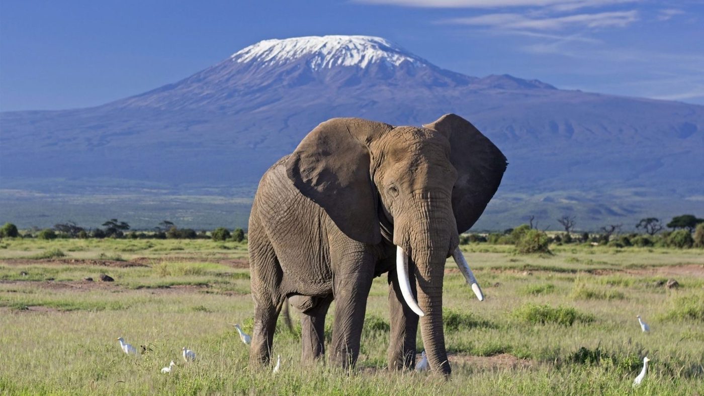 kenya tours 14 days