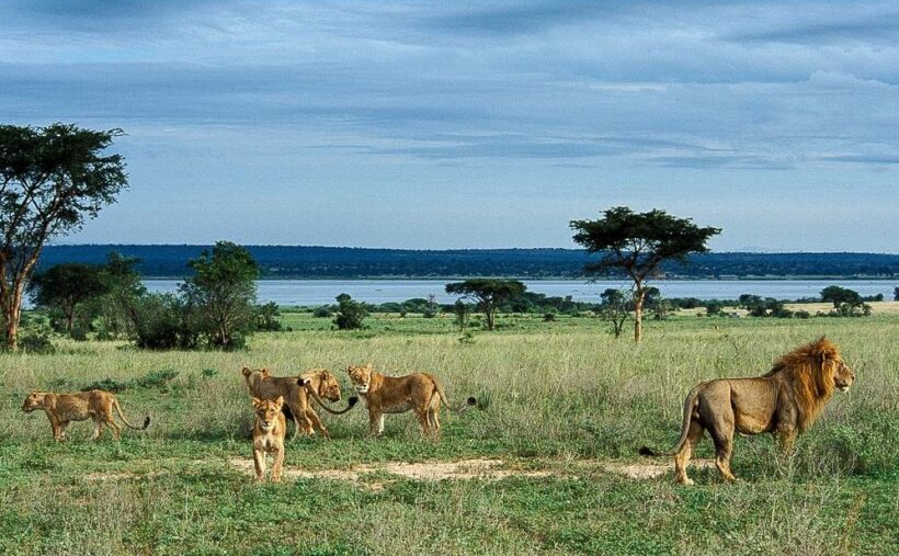 Murchison_Falls_National_Park