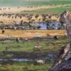 leopard in Ngorongoro