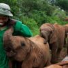 elephant-orphanage