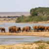 Tsavo-West-National-Park