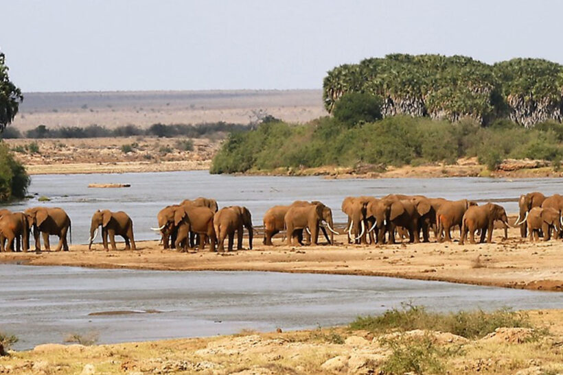 Tsavo-West-National-Park