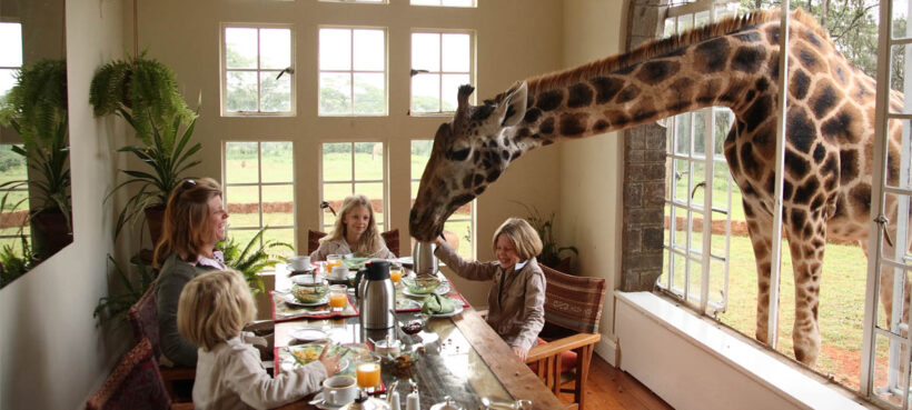 giraffe-manor