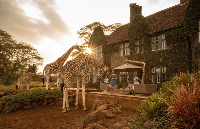 giraffe_manor_tea_time