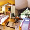 voyager ziwani safari camp